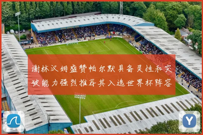 谢林汉姆盛赞帕尔默具备灵性和突破能力强烈推荐其入选世界杯阵容